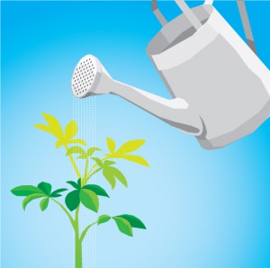 Illustration of a flower pot watering a growing plant